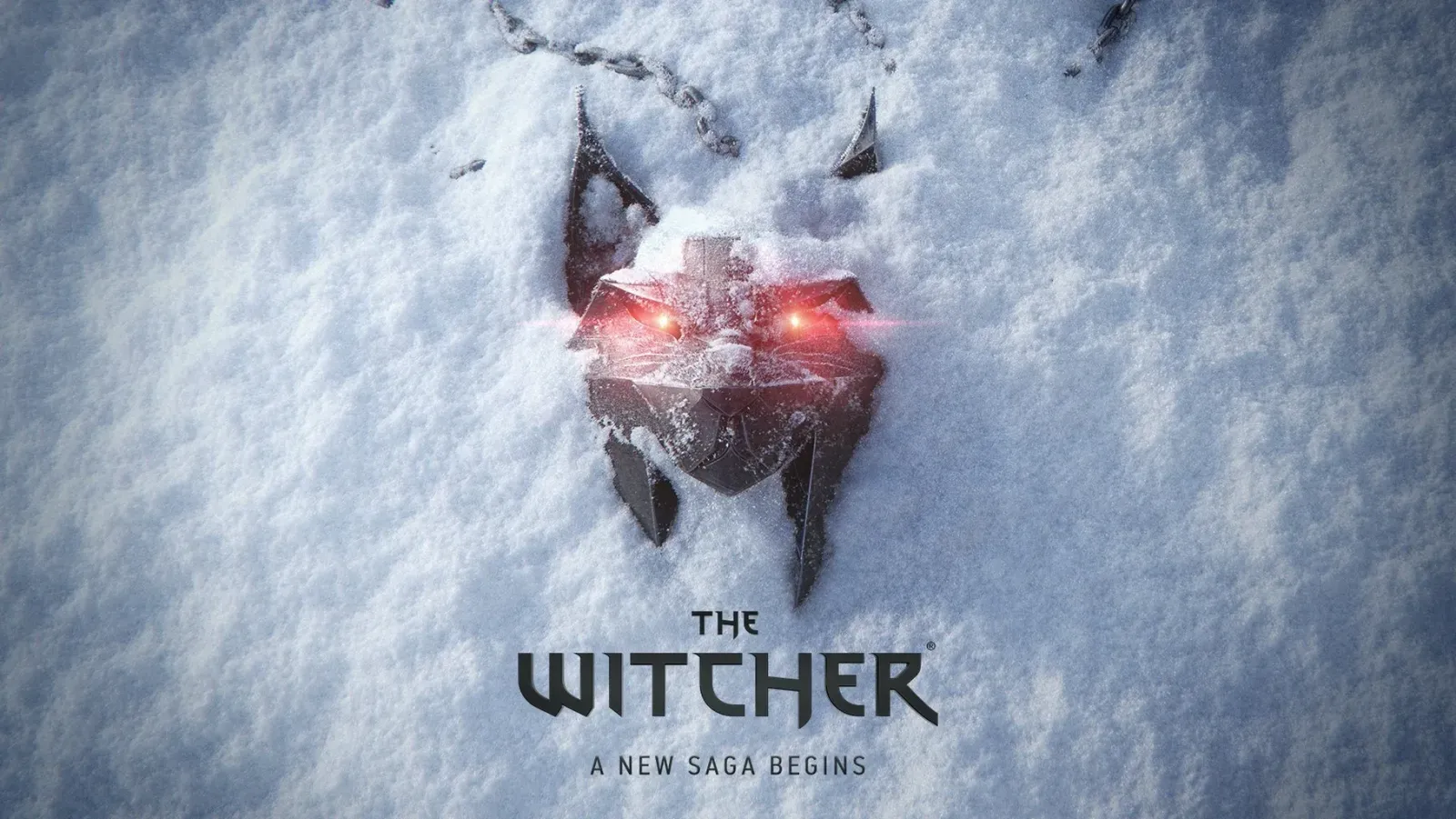 Image du jeu The Witcher IV