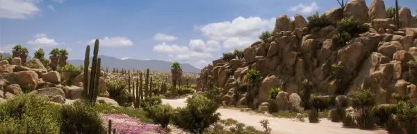 Image du jeu Forza Horizon 5