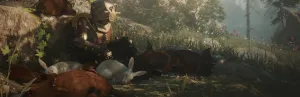 Image du jeu vidéo Soulframe