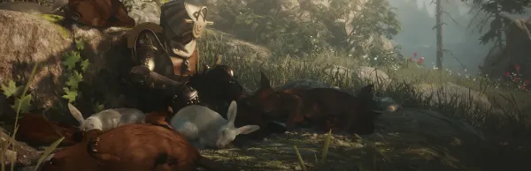 Image du jeu Soulframe