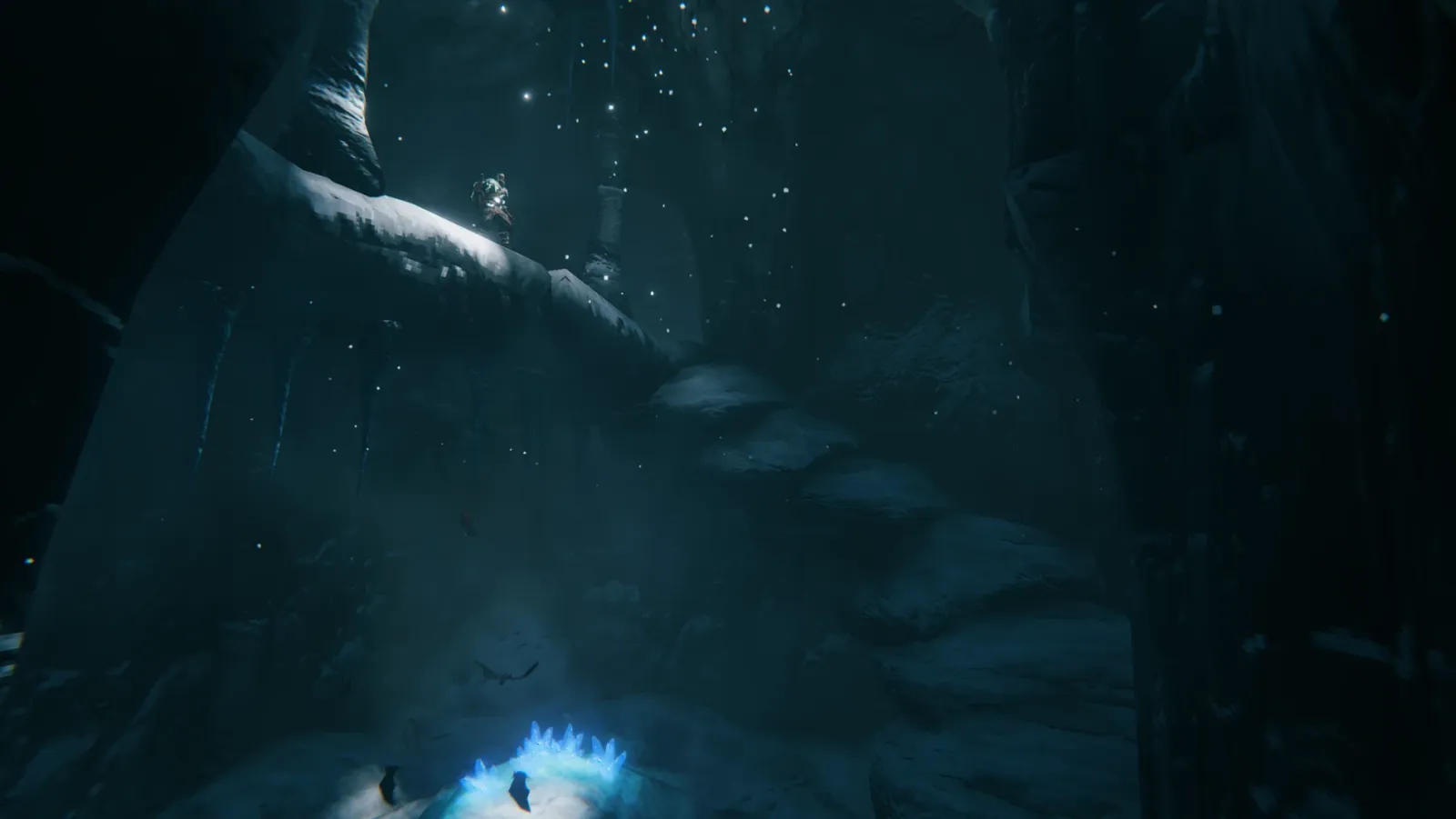 Image du jeu Valheim