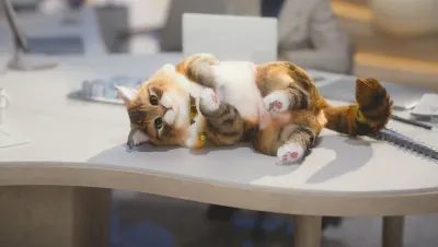 Image de l'articleinZOI – Heure de sortie sur Steam PC le 28 mars 2025, les informations