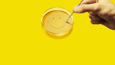 Image de l'articlePluribus : Apple TV+ dévoile une série dystopique centrée sur le bonheur