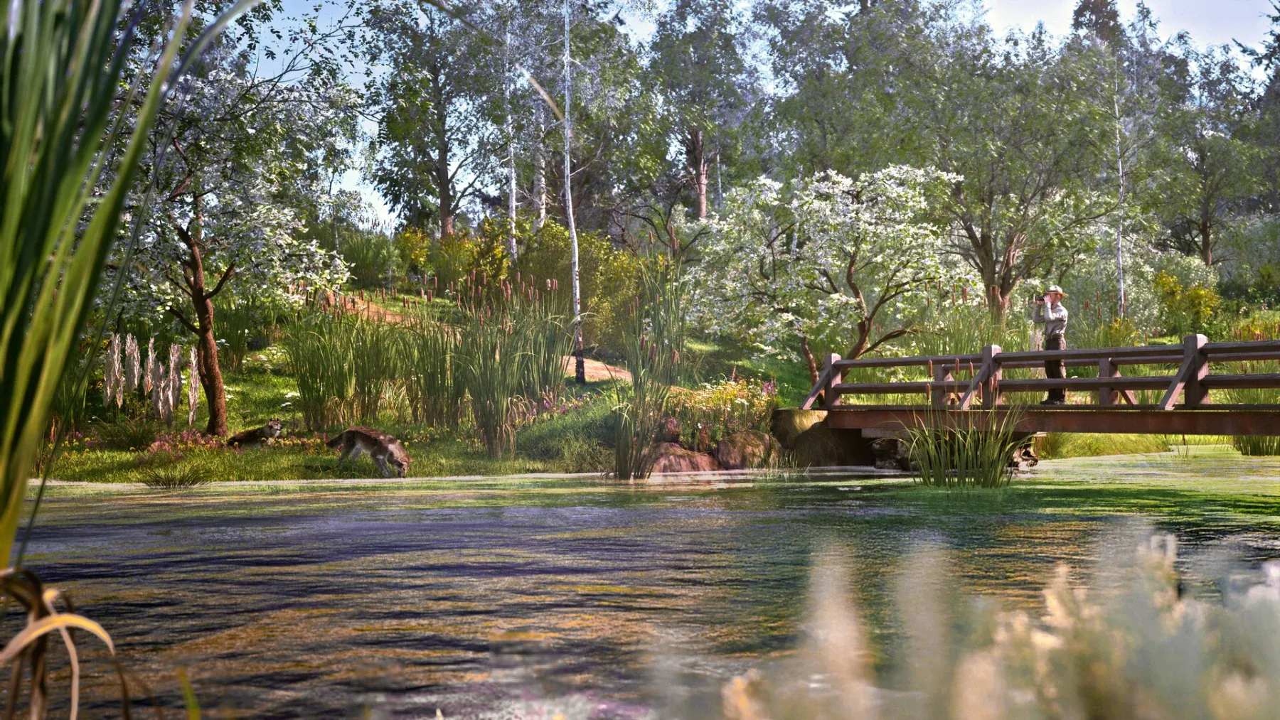 Image de l'article Ranger’s Path : la simulation nature qui pourrait conquérir Steam et Epic dès son accès anticipé