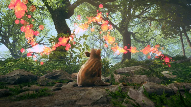 Image de l'articleAdorable Adventures : le jeu français feel good qui sent bon la nature