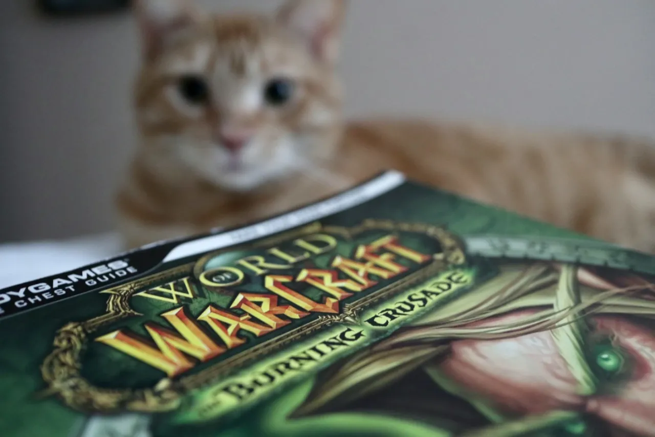 Image de l'articleAcheter de l’or WoW en toute sécurité : Conseils fiables pour les joueurs avertis
