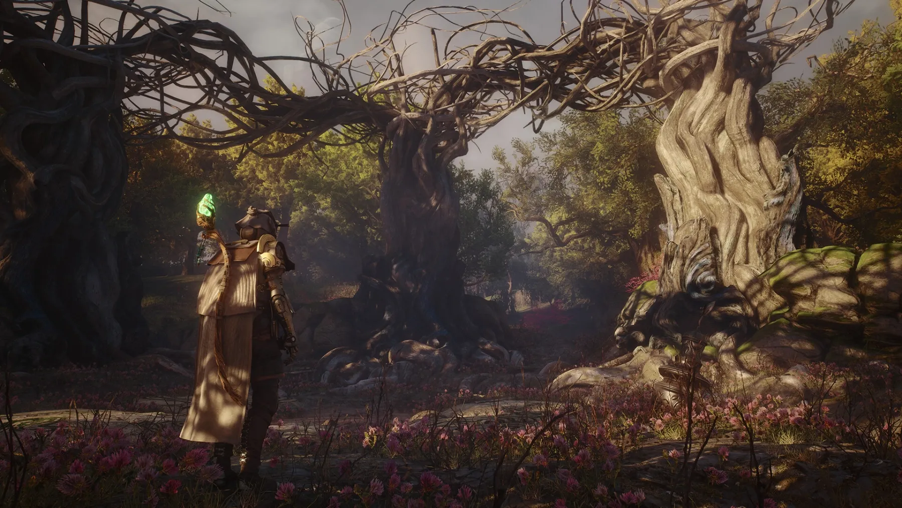 Image de l'article Soulframe : Le nouveau RPG fantasy des créateurs de Warframe se dévoile