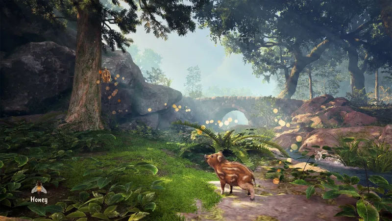 Image du test écrit Test Adorable Adventures : une aventure sensorielle au cœur de la nature