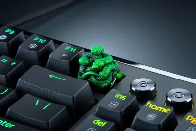 Image de l'article Razer décline son célèbre serpent en touche artisanale produite en quantité limitée