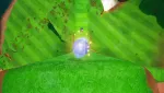 Image de l'article connexe Fortnite x Sonic The Hedgehog se prépare pour la saison 4 du chapitre 7