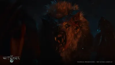 Image de l'article The Witcher 4 gardera une vraie édition physique pensée pour les collectionneurs