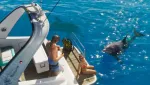 Image de l'article Rockstar Games réagit aux fuites de GTA 6 et annonce de nouvelles images