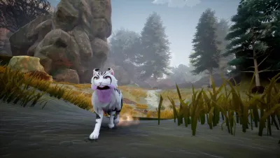 Image de l'article Warrior Cats: Clans of the Forest sortira le 23 octobre 2026 avec ses griffes bien aiguisées