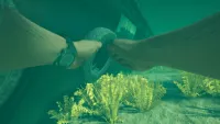 Image du jeu Stranded Deep 2