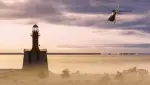 Image de l'article Microsoft Flight Simulator ajoute gratuitement la Pologne et les pays baltes avec sa mise à jour 23