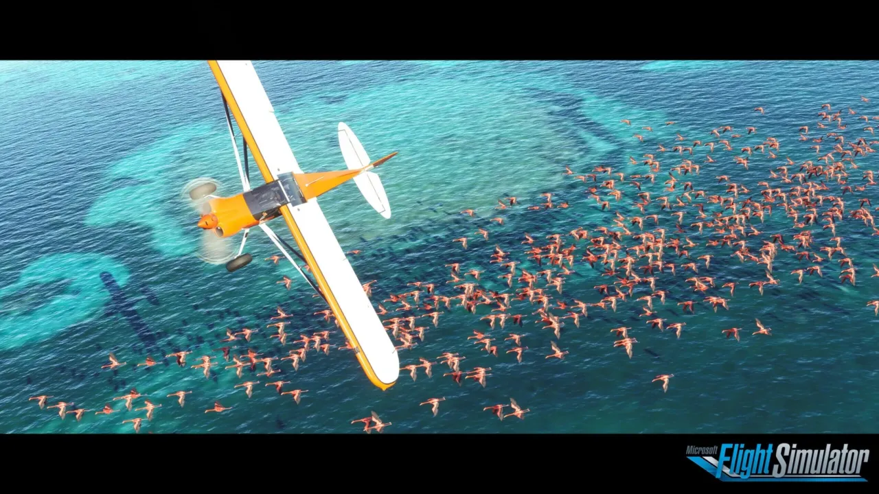 Image de l'articleFlight Simulator disponible sur Xbox Série X/S
