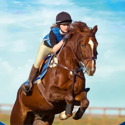 Image de l'articleMettez le pied à l-rsquo;étrier avec Réuissir : Galops 1 à7 !