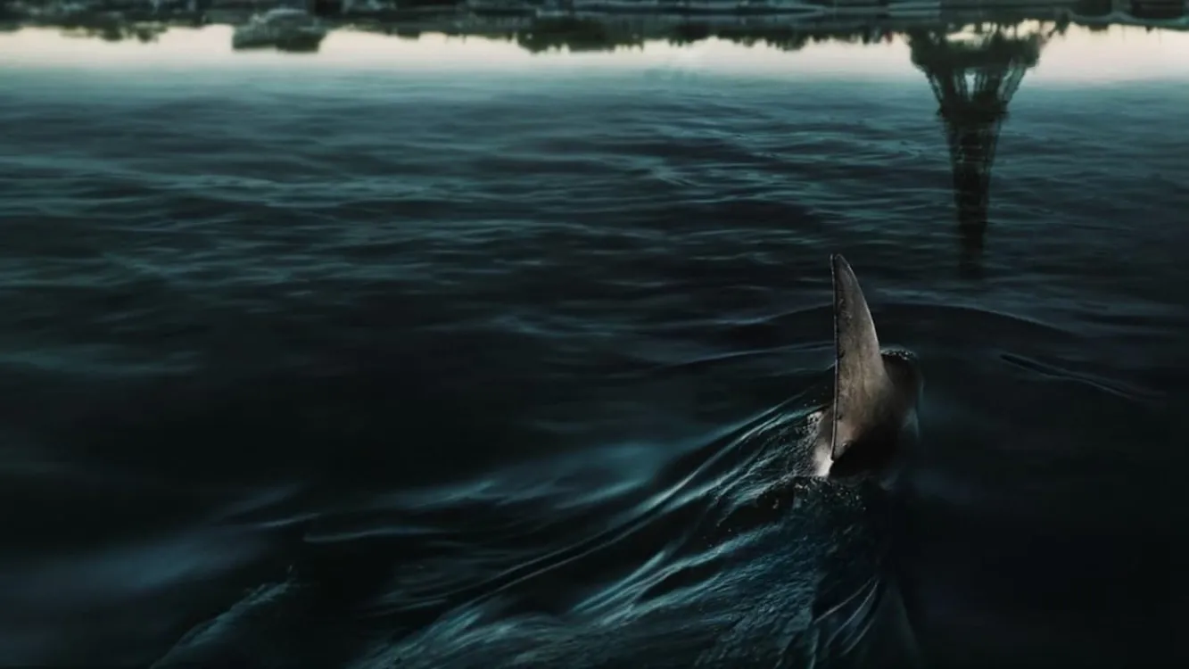 Image du film Sous la Seine