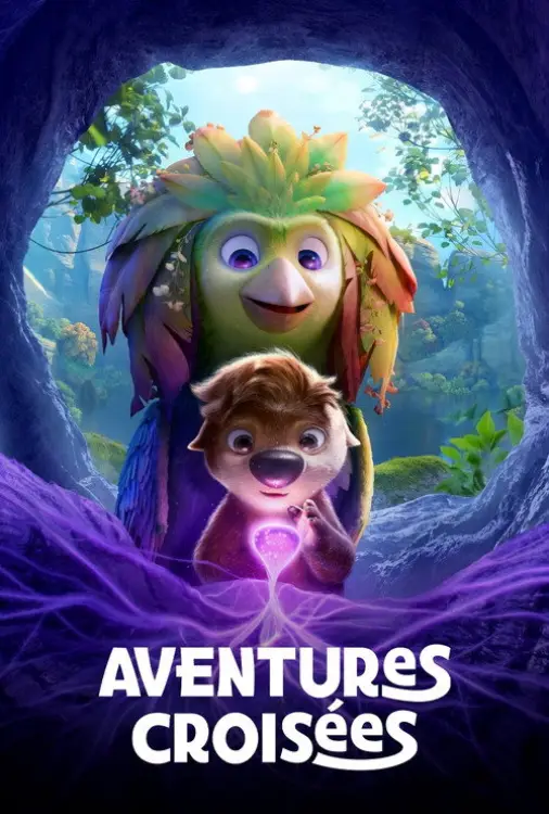 Jaquette du film Aventures croisées