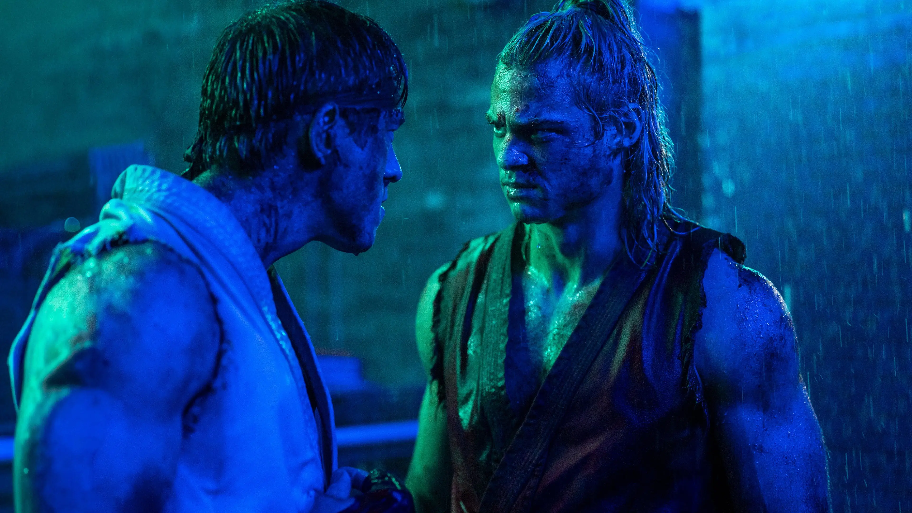 Image du film Street Fighter