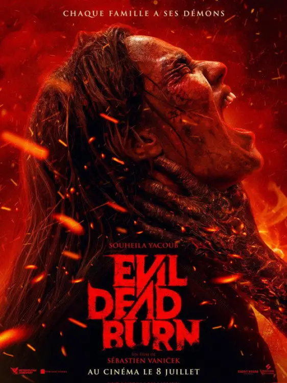 Jaquette du film Evil Dead Burn