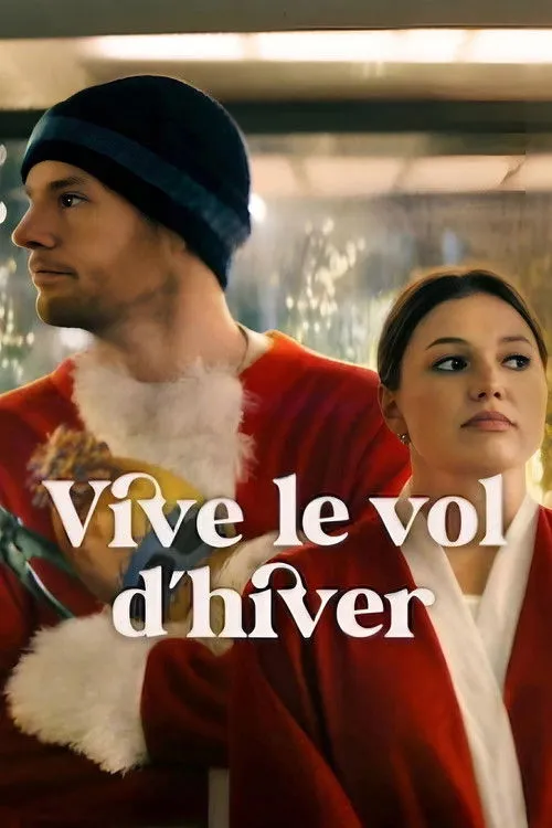 Jaquette du film Vive le vol d'hiver