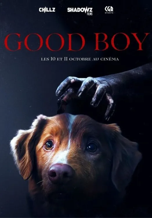 Image du film Good Boy