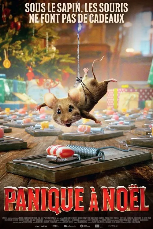 Jaquette du film Panique à Noël