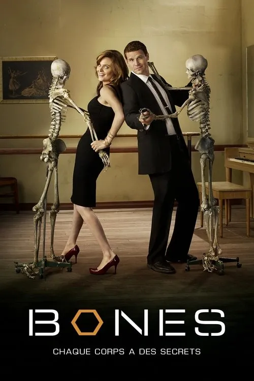Jaquette de la série Bones