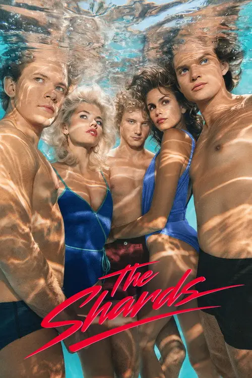 Jaquette de la série The Shards