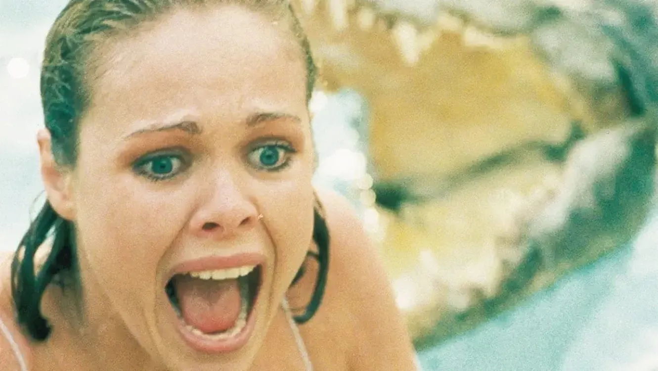 Image du film La vengeance aux deux visages