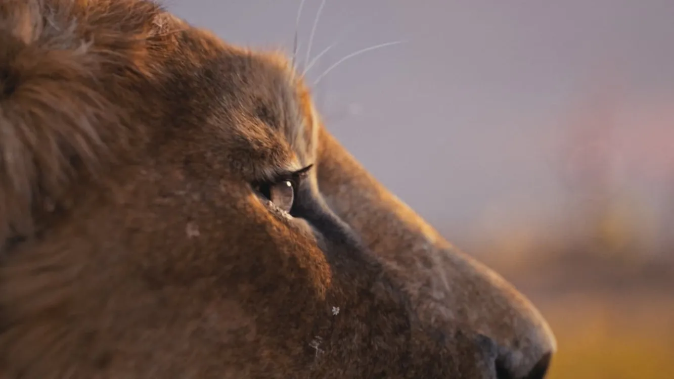 Image du film Mufasa : Le Roi Lion