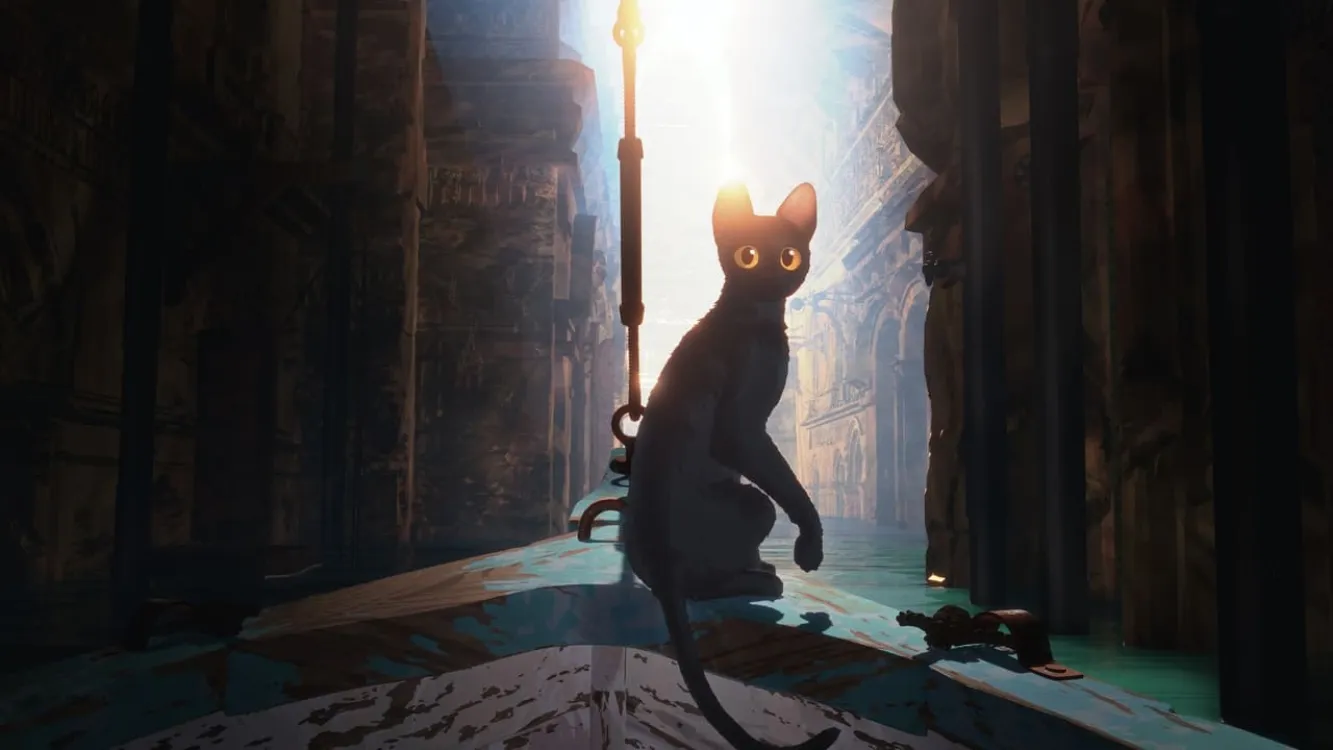 Image du film Flow, le chat qui n'avait plus peur de l'eau