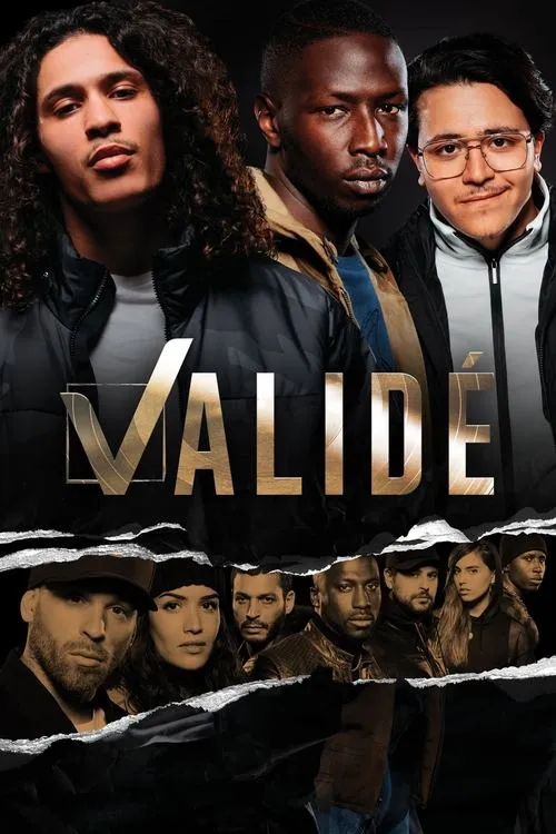 Jaquette de la série Validé