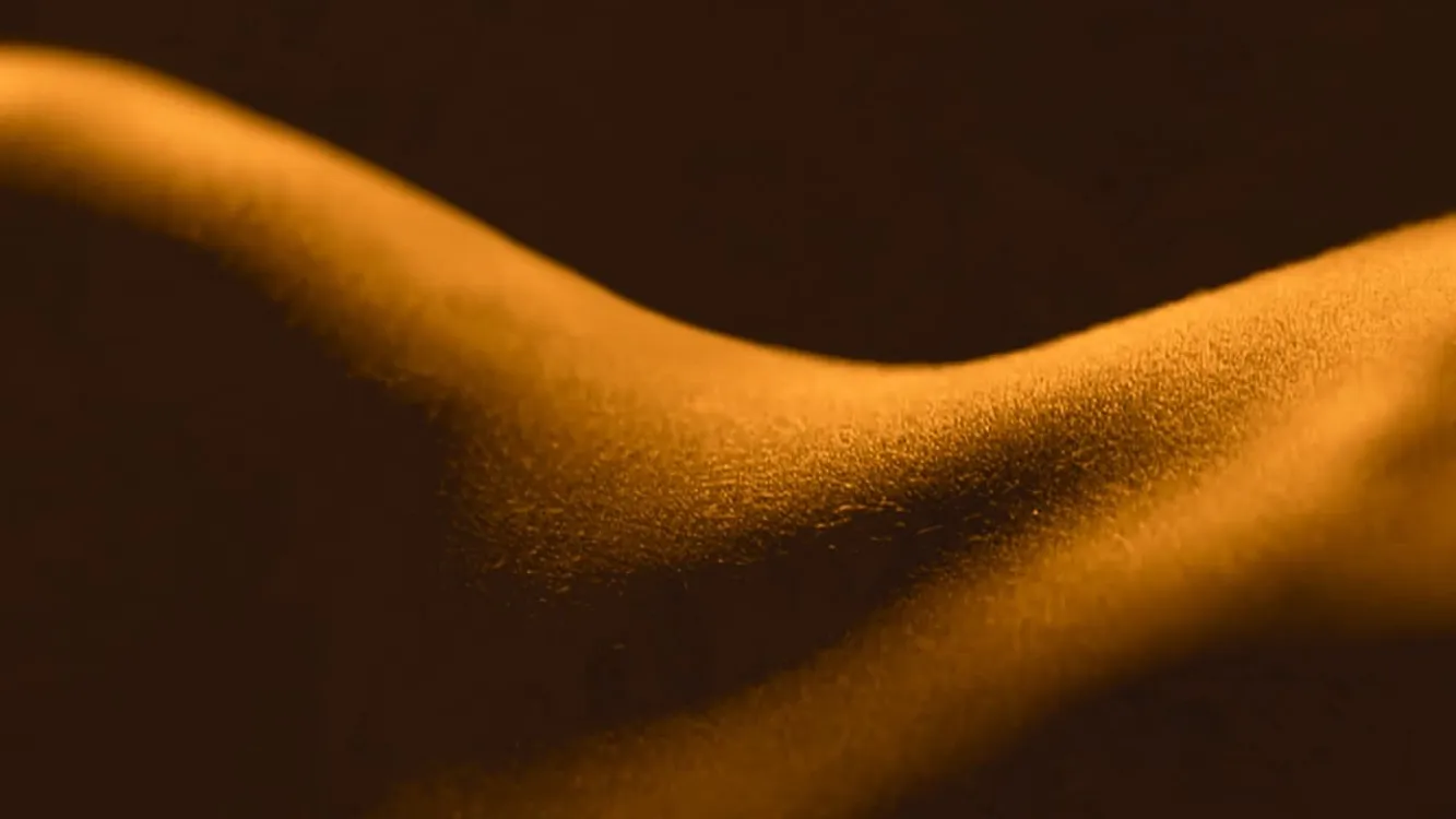 Image du film Le sexe, en bref