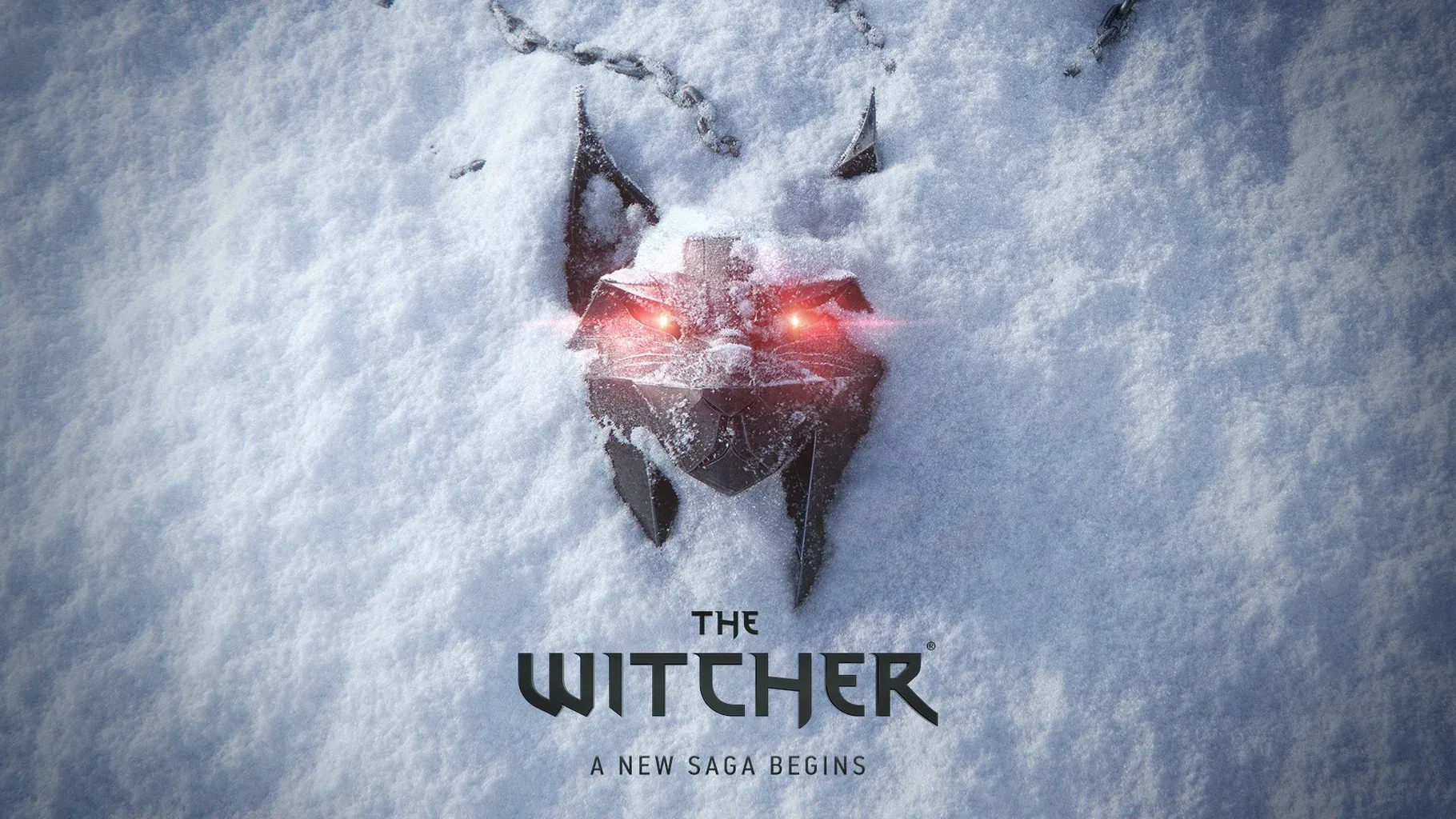 image du jeu The Witcher IV