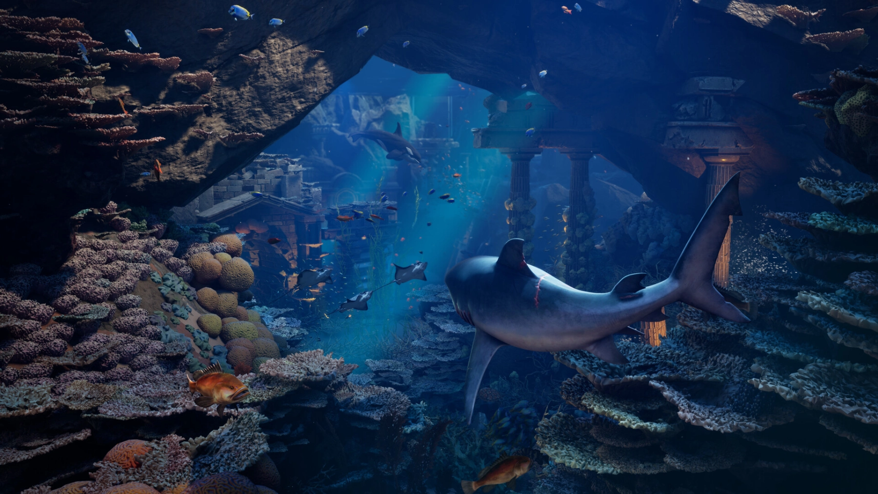 Image du jeu Maneater 2