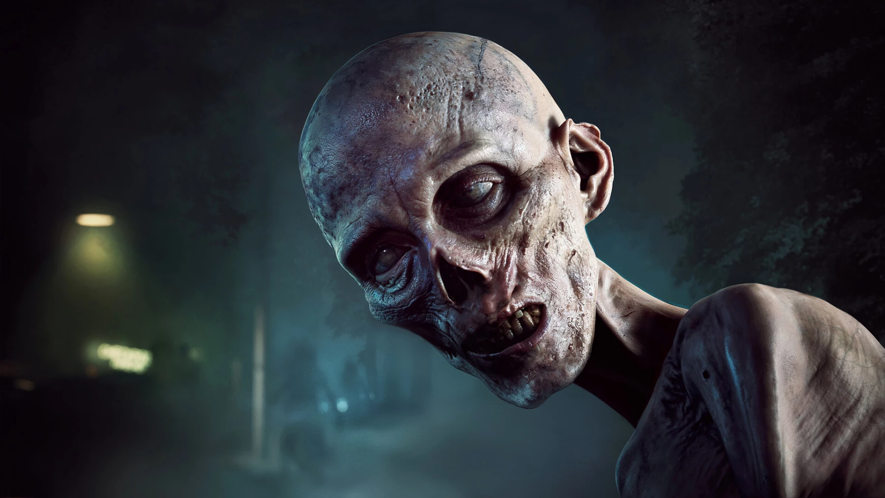image du jeu No More Room in Hell 2