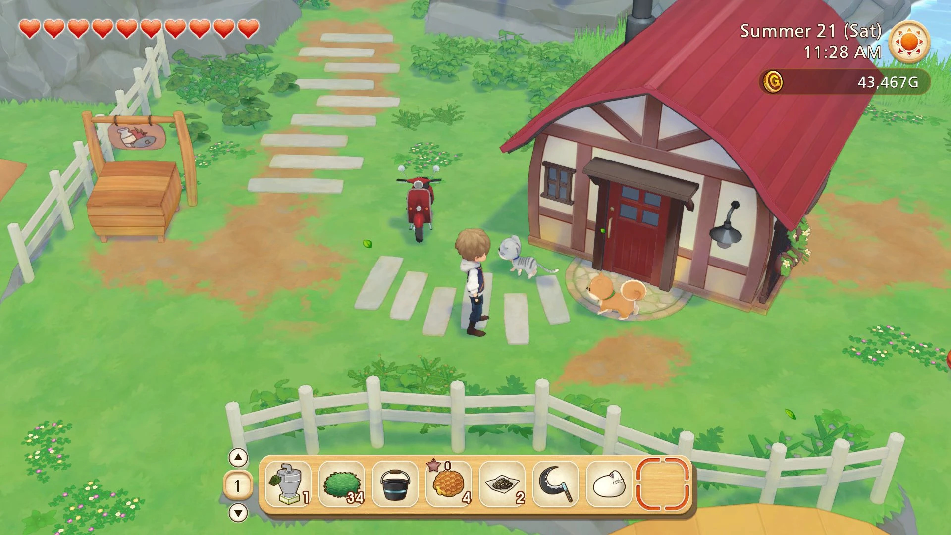 Story of Seasons 1 Story of Seasons: Pioneers of Olive Town disponible sur Nintendo Switch
