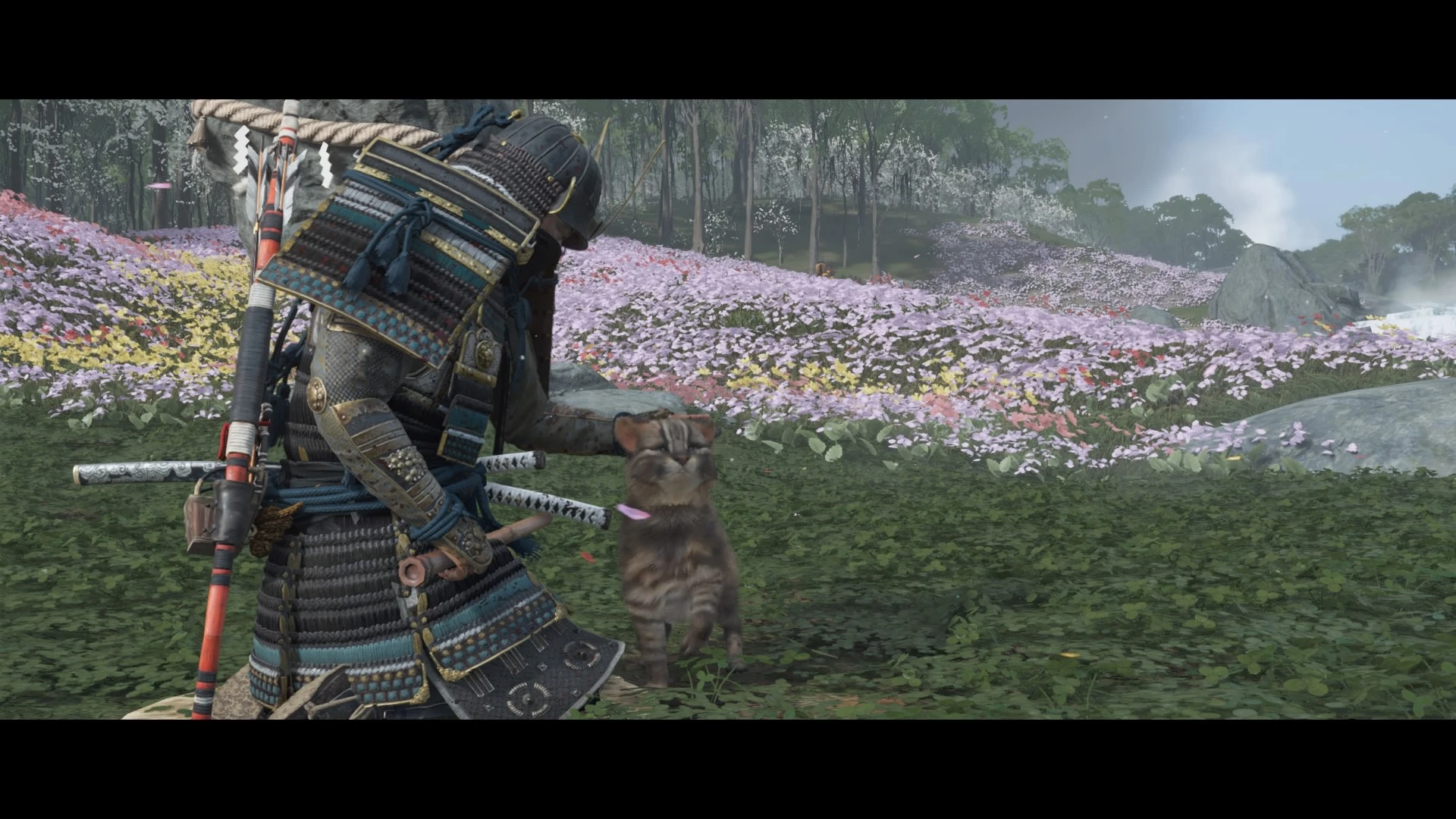 Un des nombreux détails de l'île d'Iki Test de Ghost of Tsushima Director’s Cut