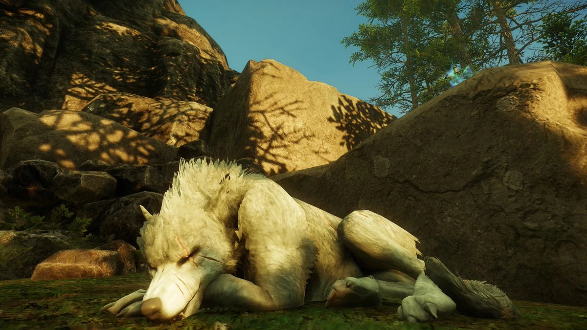 Aristoutou arrive dans New World - INFINITY AREA New World annonce l’arrivée des familiers ?