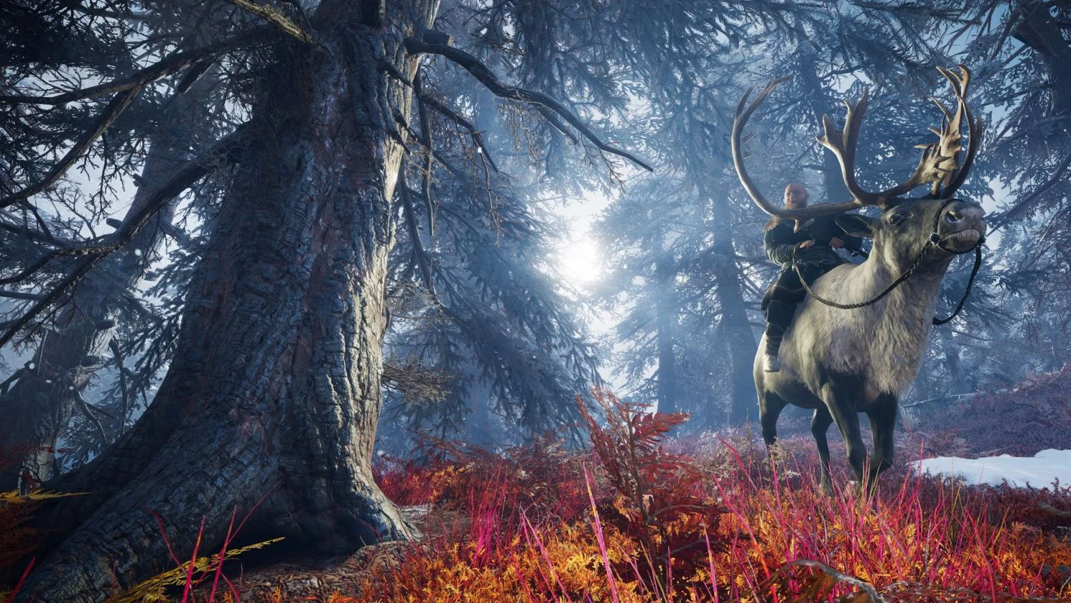 Retour sur les 15 ans d’Assassin’s Creed