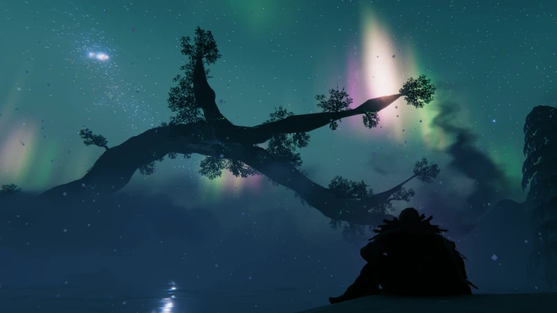 Image de l'article Mise à jour de Valheim : la route vers la version 1.0 et un nouveau biome dévoilé