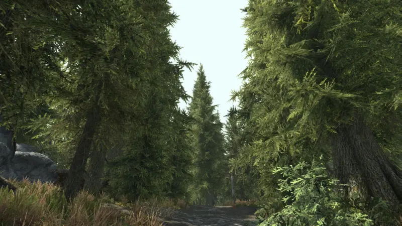 Image The Elder Scrolls VI promet une densité de flore sans précédent pour surpasser Skyrim