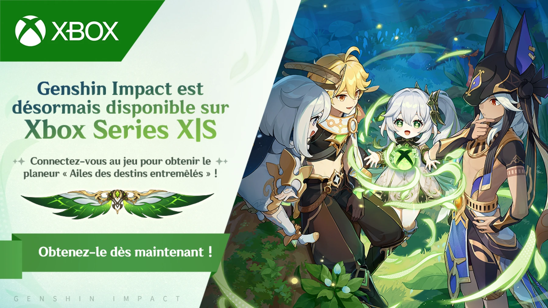 image du jeu Genshin Impact