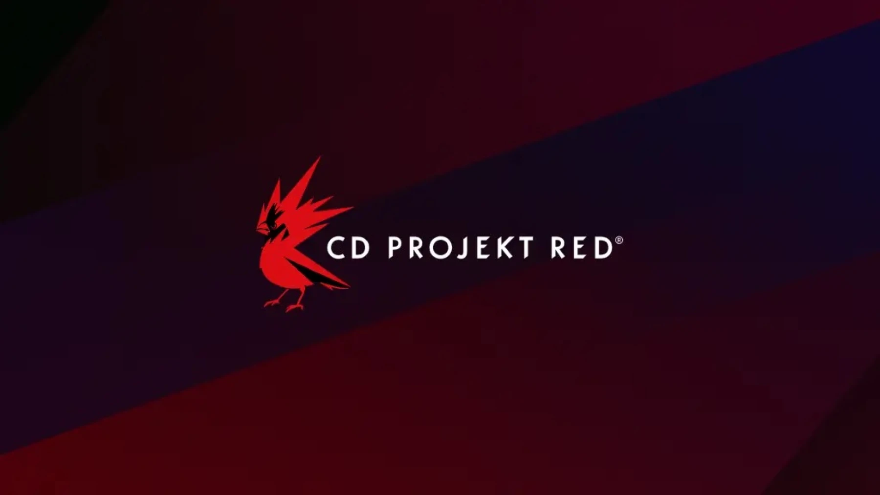 image de CD Projekt