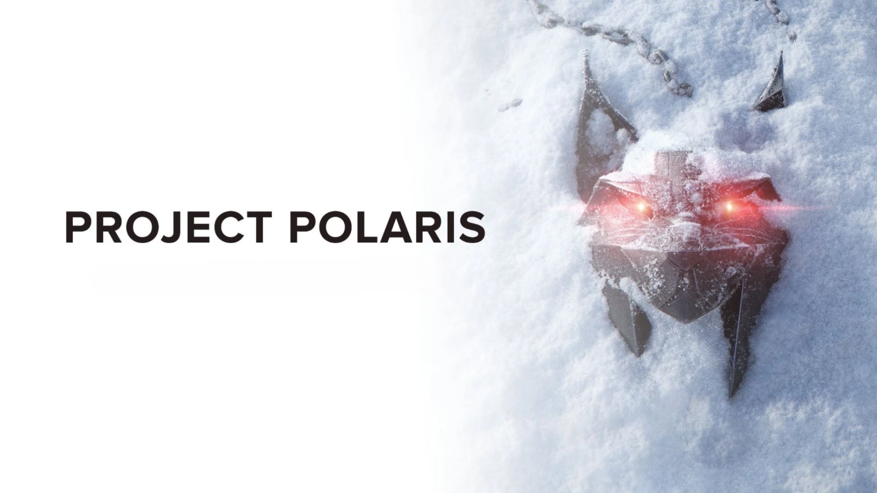 image de The Witcher 4