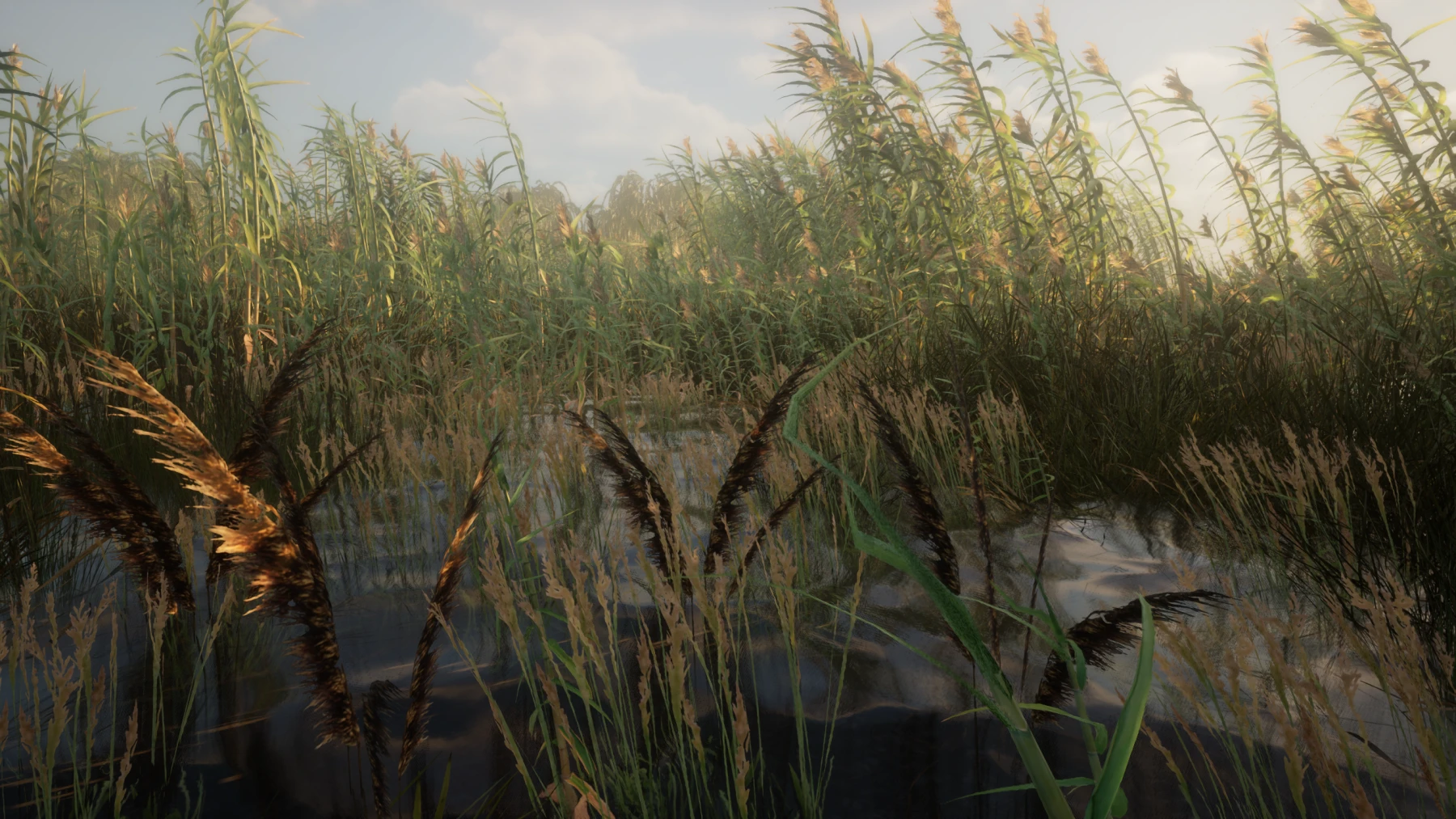 Image du jeu Derelicts