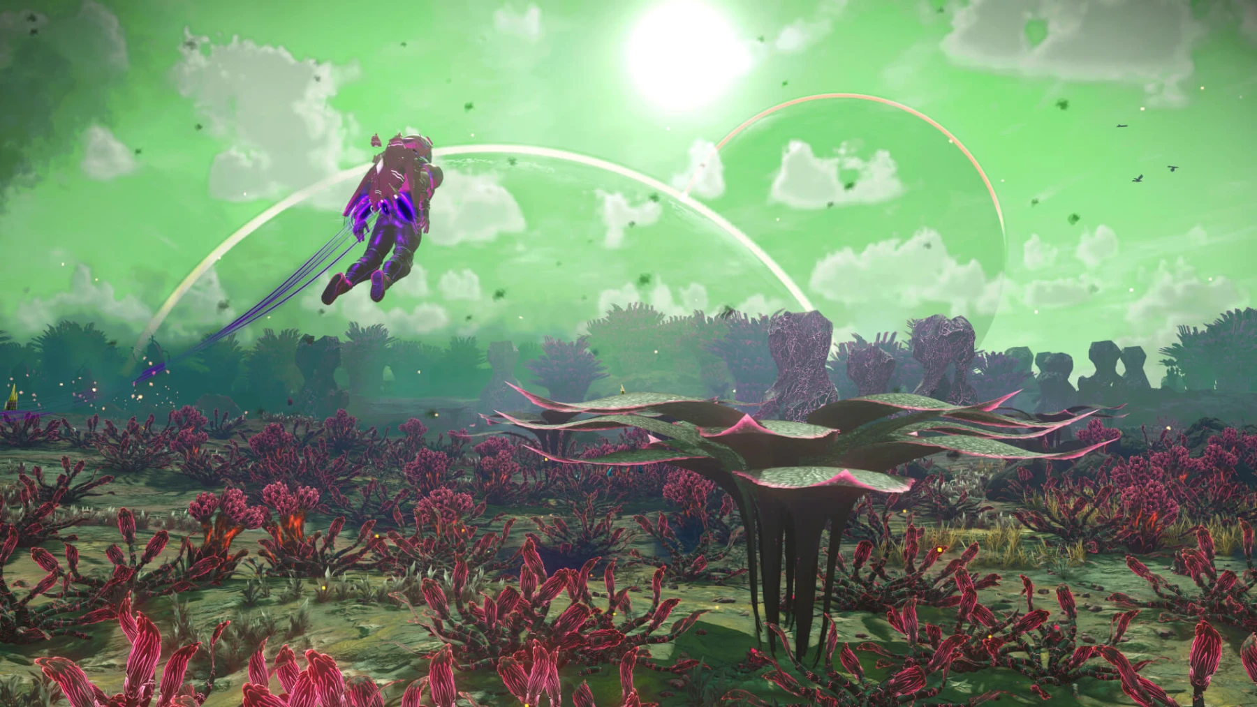 Expédition 14 No Man's Sky