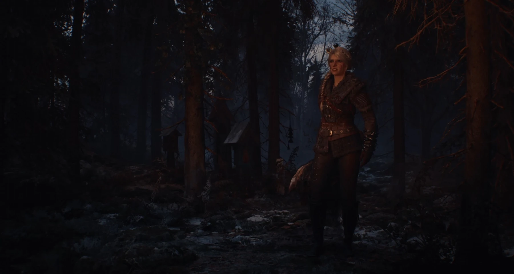The Witcher 4